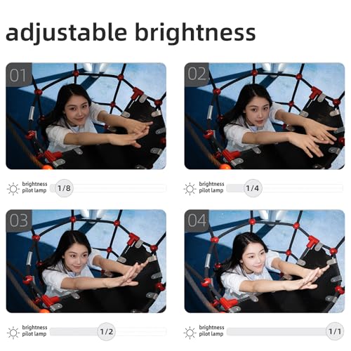 Yongnuo YN6 Manual Mini Standard Hot Shoe Flash for S, Typc C Charging Interface on Camera Flash Speedlite, with Built-in Li Battery, for A7 A6400 A6500 A6300 A6000 A5100 A5000 S Sliver
