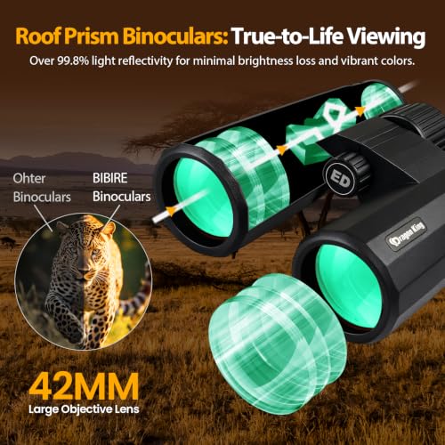 BIBIRE 10x42 Binoculars for Adults, High Powered Compact Binoculars Black