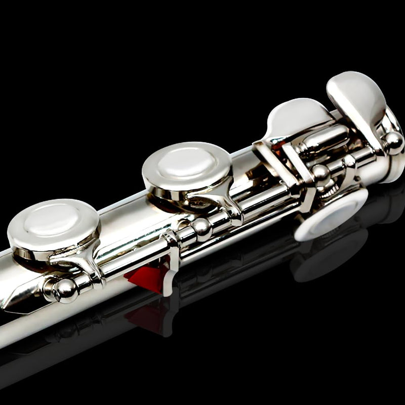New 16 Hole C key Flute with Gloves Cleaning Rod Case Closed hole Nickel Silver Flute instrument (#silver) #silver
