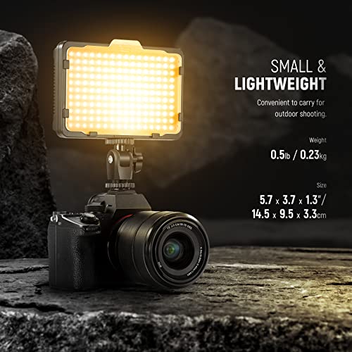 Neewer on Camera Video Light Photo Dimmable 176 LED Panel with 1/4" Thread for Canon, Nikon, Sony and Other DSLR Cameras, 5600K (Battery Not Included) PT-176S