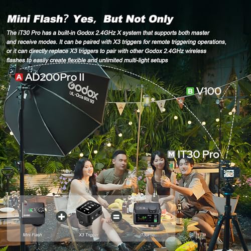 GODOX iT30 Pro N TTL Mini Flash for Nikon with Diffuser, HSS 1/8000s IT30 Pro N(Black)