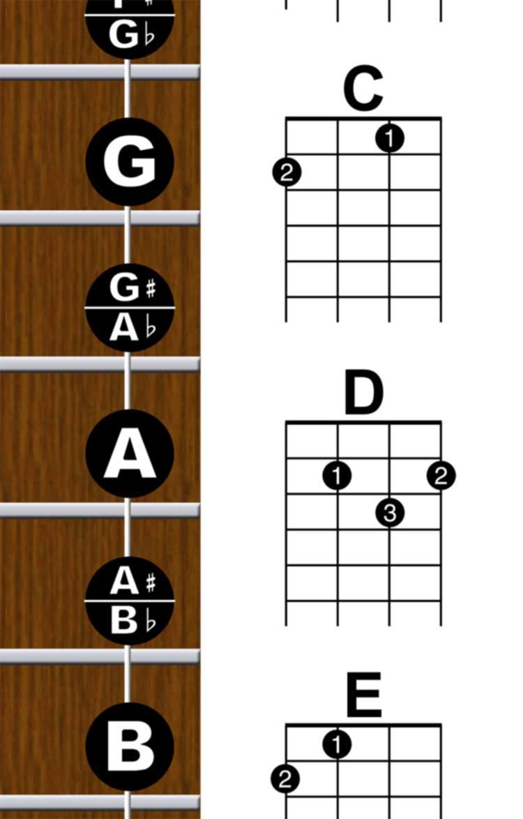 Laminated Baritone Ukulele Fretboard & Chord Chart Easy Instructional Poster Bari Uke Notebook 8.5"x11" | A New Song Music