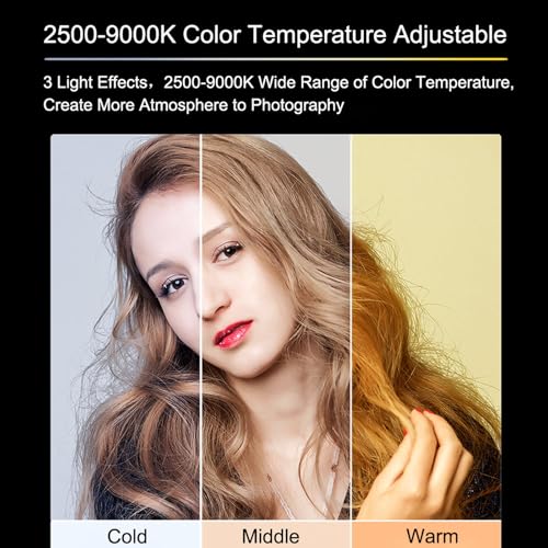 Upgrade 120 LED Selfie Light for iPhone with Front & Back Clip black