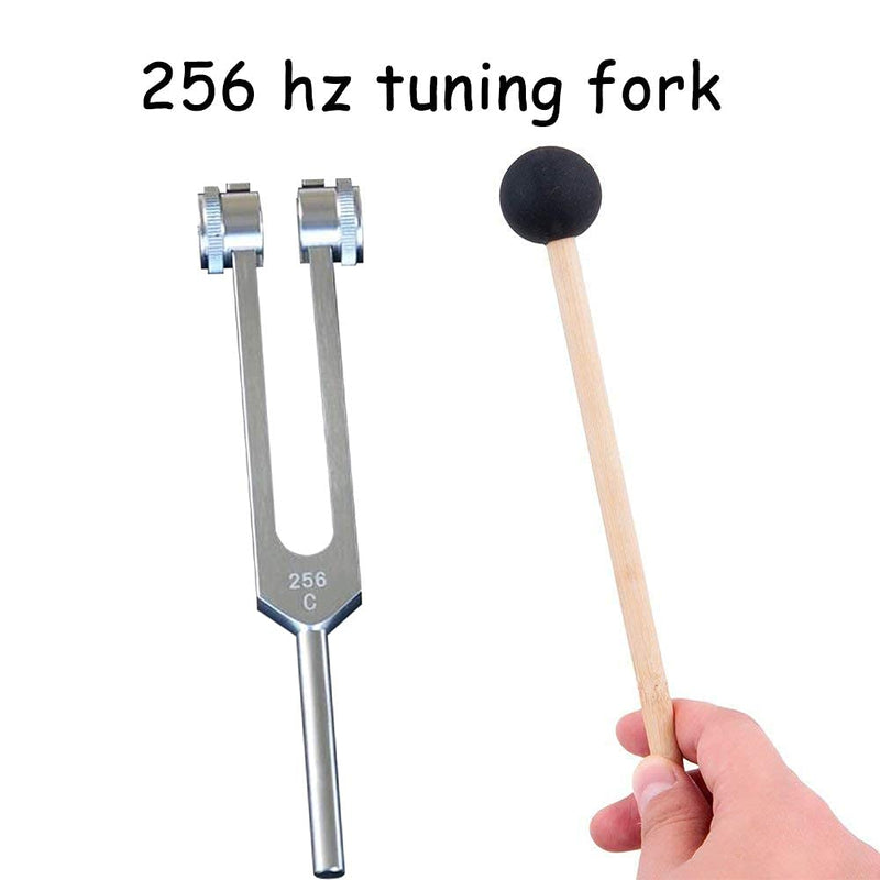 QIYUN 256 Hz Tuning Fork, 256 Cps Tuning Forks with Fixed Weights, Clinical Grade Nerve/Sensory with Silicone Hammer & Cleaning Cloth