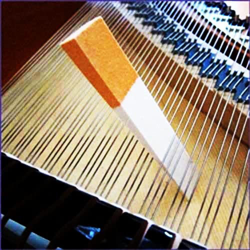 [AUSTRALIA] - 4 Pieces Piano Mutes Tool Wool Felt Wedge Mute Professional Upright/Grand Piano Tuning Maintenance Kit 