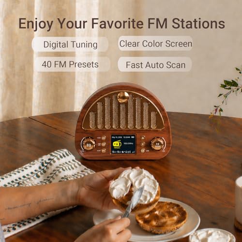 Calendar Clock+Vintage FM Radio with NOAA Weather Alerts