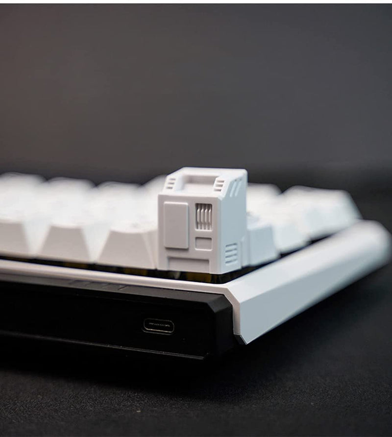 Custom keycaps for Esc Key and Tab Key, Magnetic and Light-Transmission Design, fits Most Keyboards Especially 60% Mechanical Gaming Keyboard