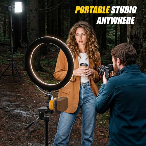 Camera Flash Speedlite Mount Swivel Light Stand Bracket,USB-C/USB-A Adapter for Camera Lighting Compatible with DeWALT 20V Max Battery,Mounts on Tripod Stand, Portable & Professional Power Solution