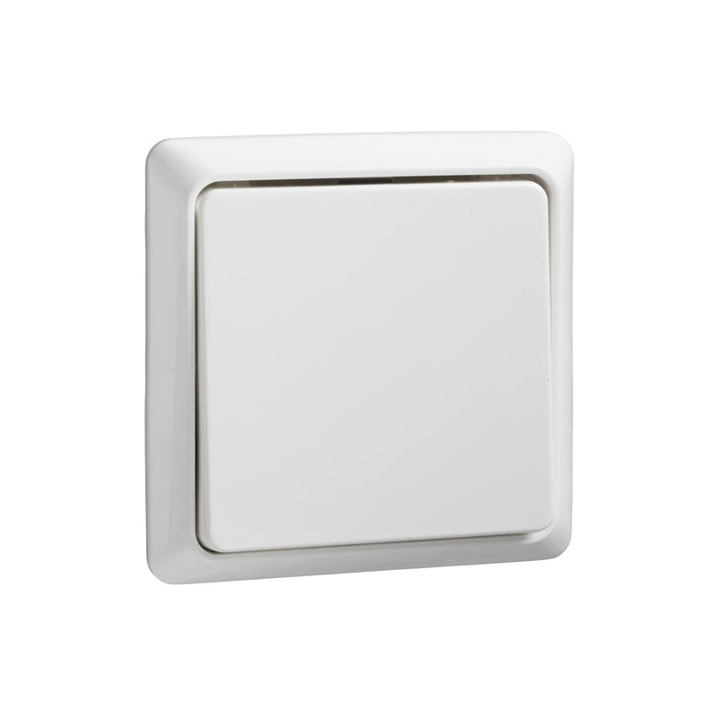 ELSO Switch, 506304 Button Aufputz flach 2-pure white