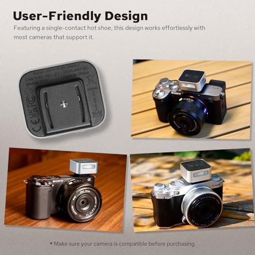 ZENIKO ZF04 Mini Flash,Manual Speedlite for Single Hot Shoe Cameras(Silver) Silver
