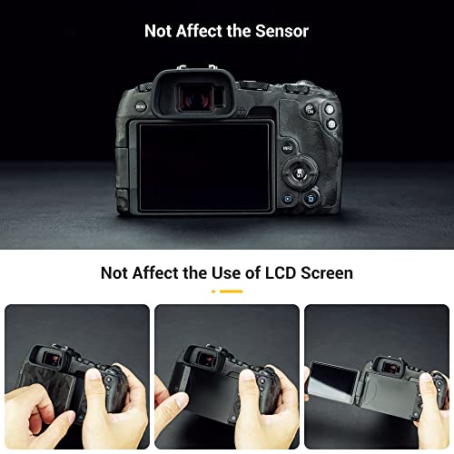 Camera Eyecup + Hard Camera Case: Camera Eyecup with Hard Shell Camera Case