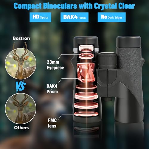 10x42 HD Binoculars Lightweight Compact for Bird Watching Hunting Travel