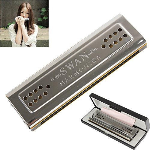 Swan 24 Holes Harmonica Tremolo (silver, Key Of C&G Double-side)