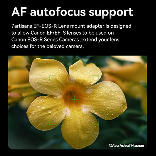 7artisans EF-EOS R Lens Adapter Auto-Focus Lens Speedbooster Converter Ring Compatible for Canon EF/EF-R Lens and Canon EOS R-Mount Camera for Canon EOS R, RP, R3, R5, R6, R7, R10