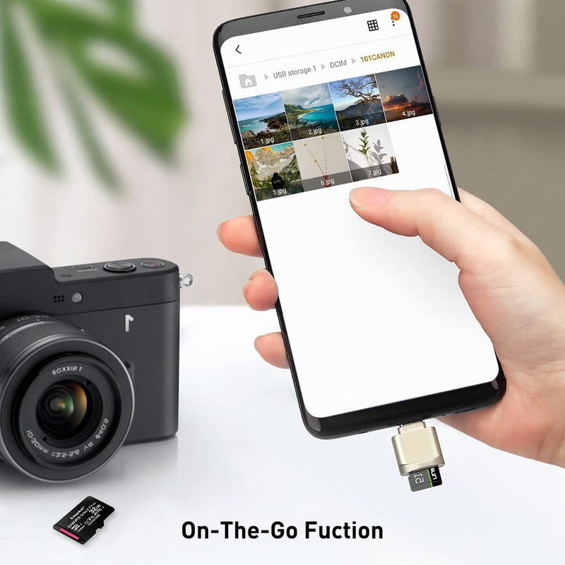 Type C Micro SD/TF Card Reader with Keychain, Leizhan USB C to Micro SD SDHC SDXC OTG Memory Reader, Type C Card Reader Adapter Compatible for Mac Windows Lixus Samsung Galaxy Note 20 S20 silver