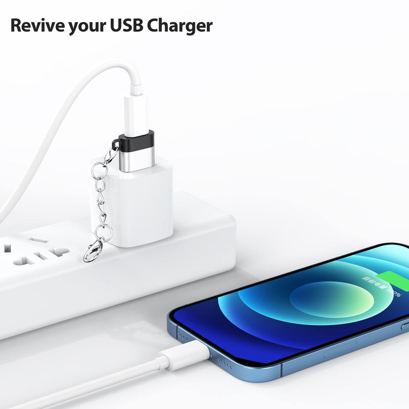USB C Female to USB Male Adapter 2 Pack, USB A Male to USB C Female Cable Converter with Keychain, USBC Type C Connector Charge & Data Sync for Laptop Car Charger Headphone Computer Hub etc. Silver+Black