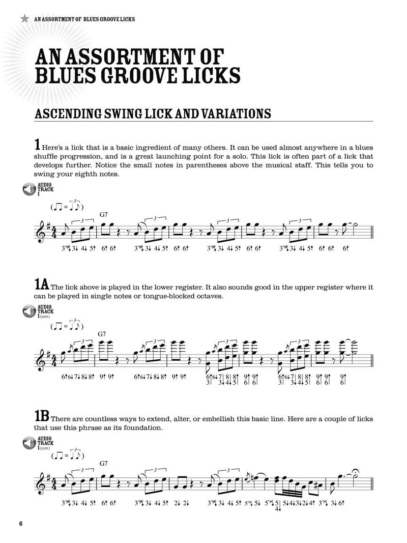 [AUSTRALIA] - 100 Authentic Blues Harmonica Licks Steve Cohen | Harmonica Instructional Book with Online Audio | Learn Blues Harmonica Techniques, Solos, and Riffs | Beginner to Advanced Sheet Music Songbook 