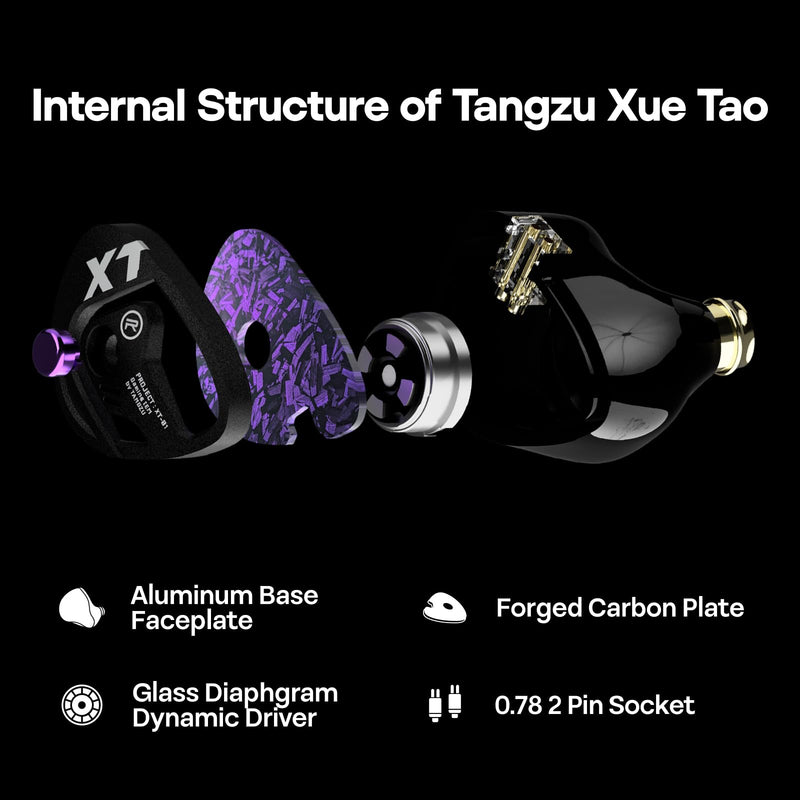Linsoul TANGZU Xue Tao Gaming IEMs, HiFi Wired Earbuds with Detachable Mic,10mm Glass Diaphragm Driver in Ear Monitor,with 2Pin Detachable OFC Cable for Audiophile Gamers (TypeC MIC) TypeC MIC