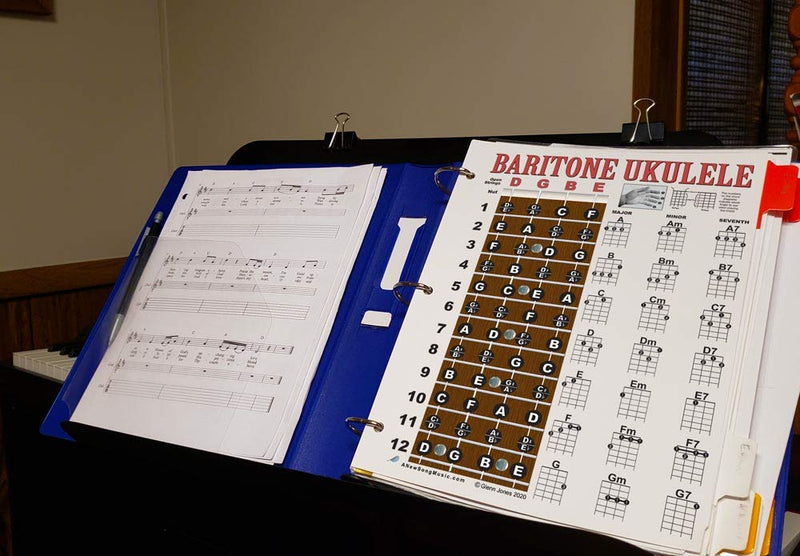 Laminated Baritone Ukulele Fretboard & Chord Chart Easy Instructional Poster Bari Uke Notebook 8.5"x11" | A New Song Music