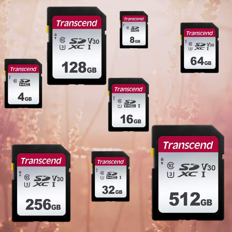Transcend TS4GSDC300S 4GB SDHC Memory Card