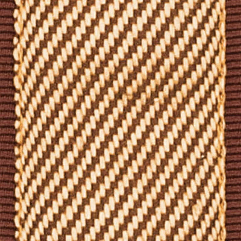 D'Addario 50MM Planet Lock-Tweed (50PLB06) Tweed