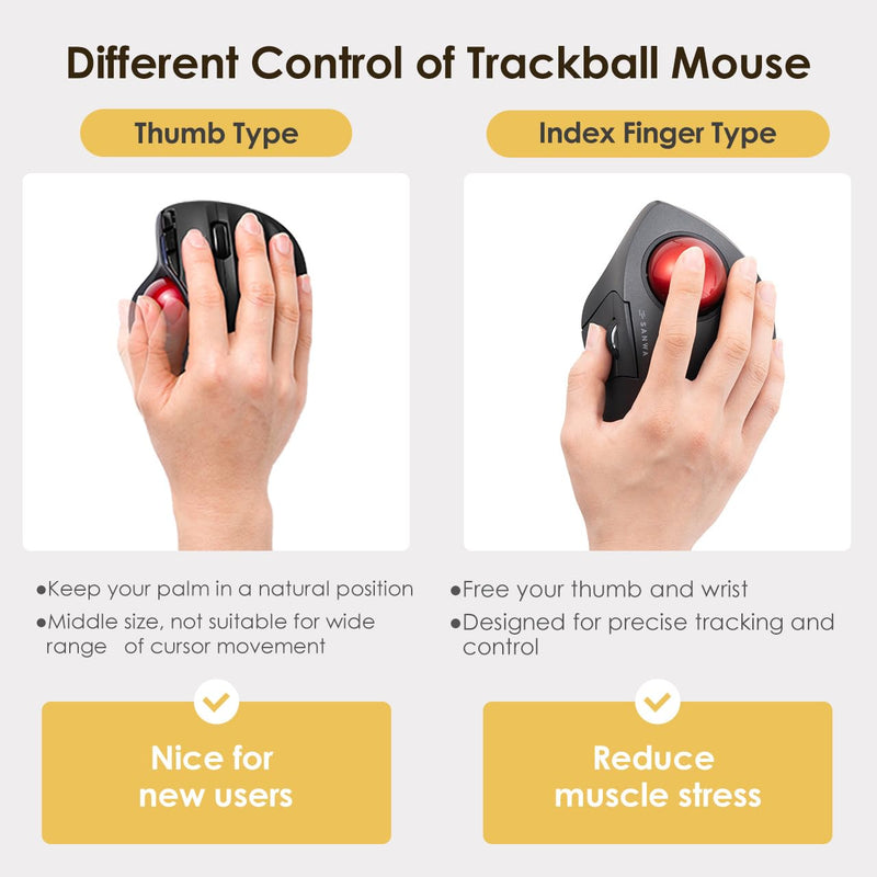 SANWA Bluetooth 5.1 + 2.4G Wireless Trackball Mouse and 44mm Trackball Replacement Ball Bundle, Programmable Rollerball Mouse, Silent Click, 600-1600 DPI, Compatible MacBook, Laptop, Windows, macOS