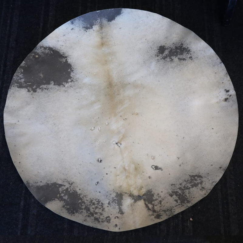 Zaza Percussion - Goatskin for Darbuka Doumbek Drum, Goat Skin for Djembe Natural Flat Round Goat Skin Head-36'' 36''