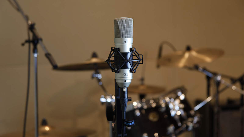 Tascam TM-80 Large Diaphagm Condenser Microphone,Silver
