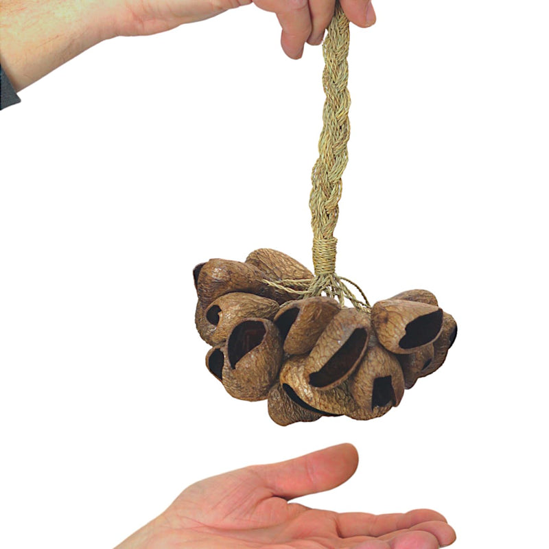 GMP Pangi Seed Shell Shaker/Nutshell Percussion Sound Effect, Comes with Rope Handle/Bamboo Handle, Authentic Traditional Rattle (Natural) Rope-Handle