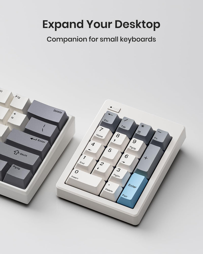 Kisnt FD17 Wireless Mechanical Numpad for Excel Financial Data Entry | Bluetooth 5.0 & 2.4G Dual Mode Connection, 17 keys Hot Swappable with PBT Keycaps, Ideal for Laptops PC Compact Keyboards Beige