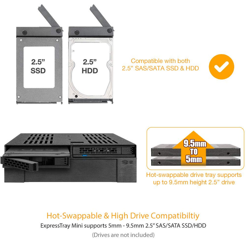 ICY DOCK 2 Bay 2.5 SAS/SATA HDD/SSD Mobile Rack + 3.5" Slot for External 5.25" Bay | ExpressCage MB322SP-B