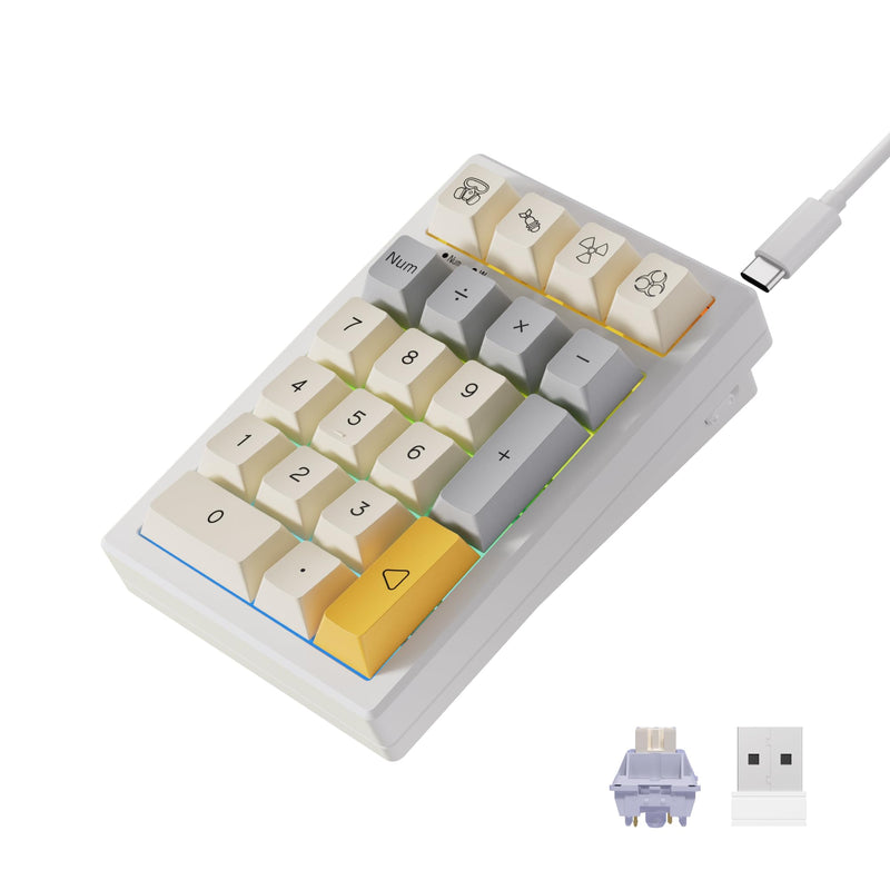 BOYI TD21 Hot Swap Numpad,21 Keys Mini Numpad Portable Keypad Bluetooth5.0/2.4G/Wired Number Pad Keyboard PBT Keycaps RGB Backlit Type-C Mini Keyboard (Heavy Industry XDA Keycaps) Heavy Industry XDA Keycaps