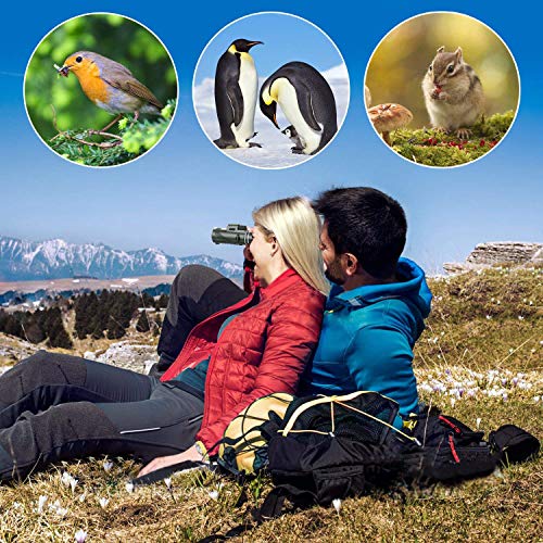 40X60 Monocular Telescope - High Power for Adults with BAK4 Prism. Includes Phone Adapter, Tripod & Hand Strap. Perfect for Bird Watching & Concerts