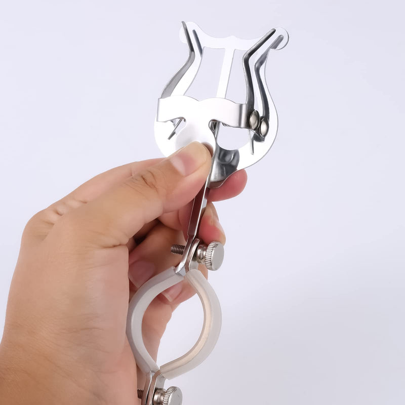 Clarinet Sheet Music Clip, Clarinet Lyre Music Clip Music Book Clip Clarinet Music Holder Music Book Clip for Practicing Beginners Marching Band