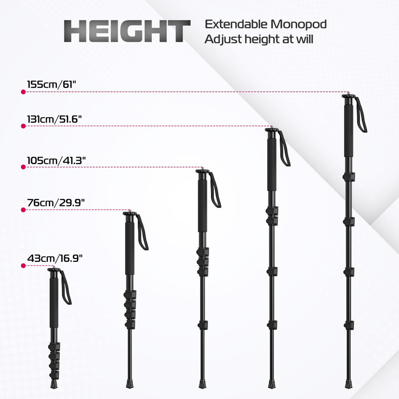 ULANZI TB12 61-Inch Camera Monopod with FALCAM 2268 F38 Quick Release Plate 38mm Universal Camera Mounting Adapter