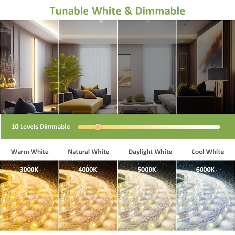 [AUSTRALIA] - NOVOSTELLA 20ft Waterproof Tunable White LED Strip Lights, Dimmable Flexible Rope Light 3000K-6500K 12V Tape Light with Remote, Ribbon for Outdoor and Indoor Bedroom Home Mirror Kitchen Bar Cabinet 20ft (Waterproof) 