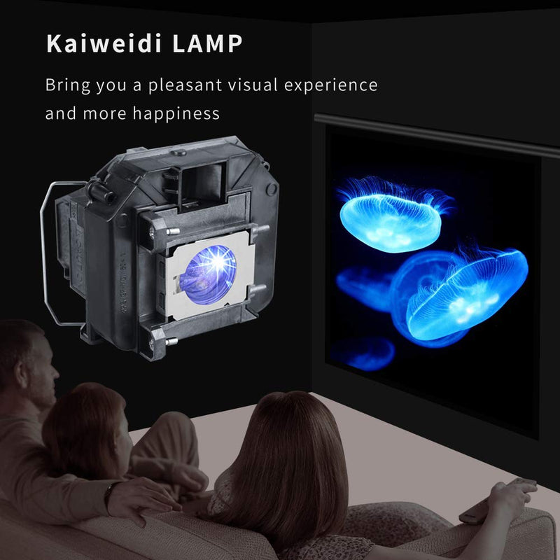 KAIWEIDI ELPLP60/V13H010L60 Replacement Projector Lamp for EPSON EB-2020 EB-2060 EB-420 EB-421I EB-905 EB-93 EB-95 EB-96W H381A H387A,PowerLite 420 425W 905 95 96W,BrightLink 425Wi 430i Projectors