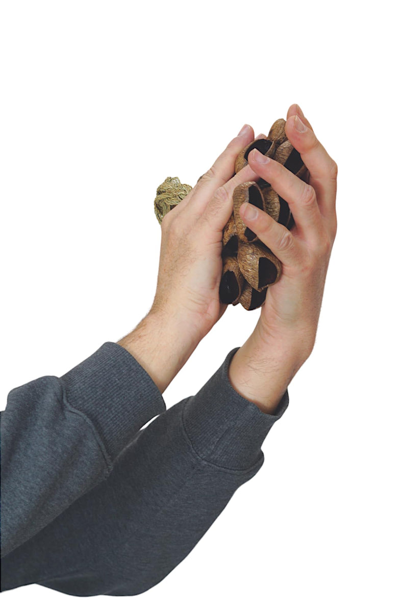 GMP Pangi Seed Shell Shaker/Nutshell Percussion Sound Effect, Comes with Rope Handle/Bamboo Handle, Authentic Traditional Rattle (Natural) Rope-Handle