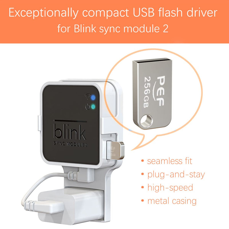 256GB Blink USB Flash Drive and Outlet Wall Mount for Blink Sync Module 2, Space Saving for Blink Outdoor Indoor Security Camera (Blink Sync Module 2 is NOT Included) 256G USB Flash Drive
