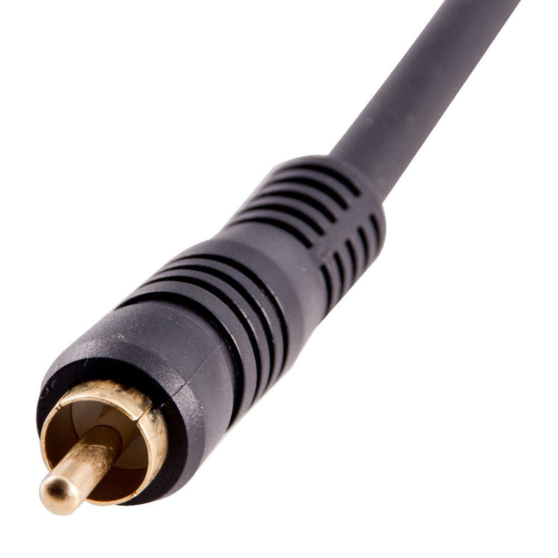 Seismic Audio - SAXLRC1-6 Pack of XLR Female RCA Male 1' Patch Cables 6 Pack