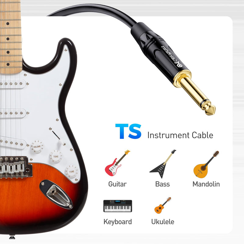 Cable Matters 2-Pack 1/4 Inch TS to TS Electric Guitar Cable 6 Feet - Guitar Cord/Guitar Amp Cord/Instrument Cable for Electric Guitar, Mandolin, Bass AMP, Keyboard, Mixer, Equalizer 6 ft Straight