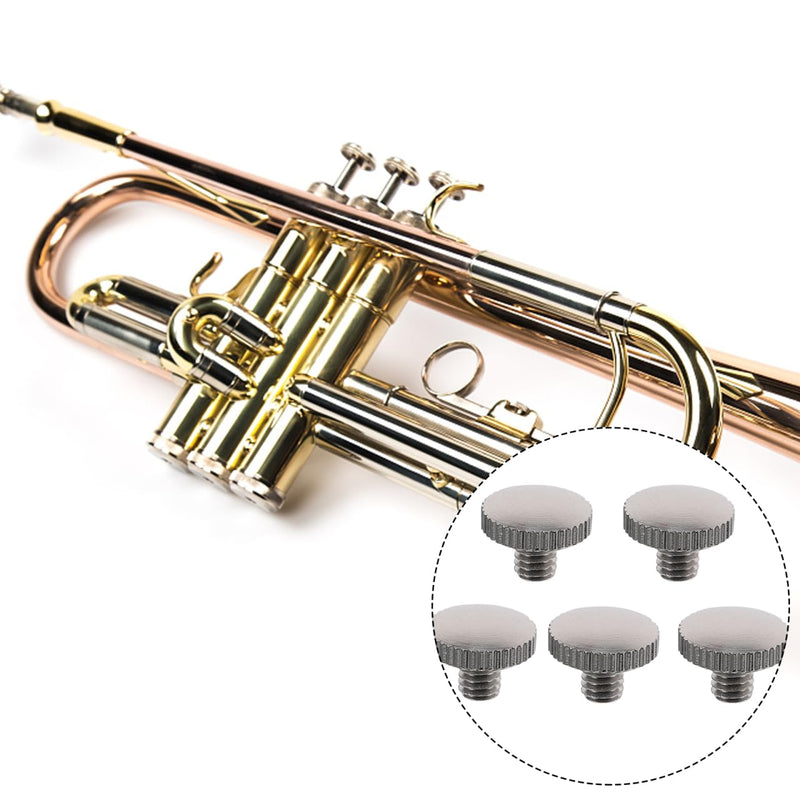 5 Pcs Trumpet Slide Finger Ring Screws, Metal Replacement Screws for Trumpet Piston Valve, Instrument Accessory for Repair and Maintenance