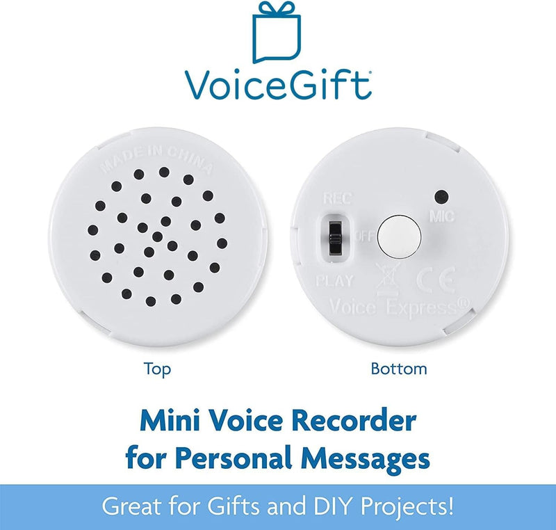 60 Second Multi-Message Voice Recorder, Record Custom Messages for Plush Toy, Stuffed Bear Toy, Baby Doll Toy, and Pillow - 2 Pack 60 Sec - Pack of 2