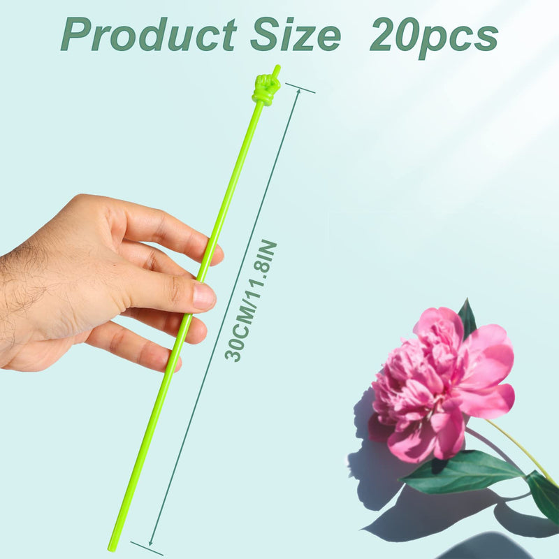 20pcs Mini Hand Pointers, Plastic Mini Teacher Pointers Finger Pointer Sticks Small Classroom Pointer Finger Stick for Kids Primary Kindergarten Teaching Reading (Macaron Color, Transparent) Macaron Color, Transparent