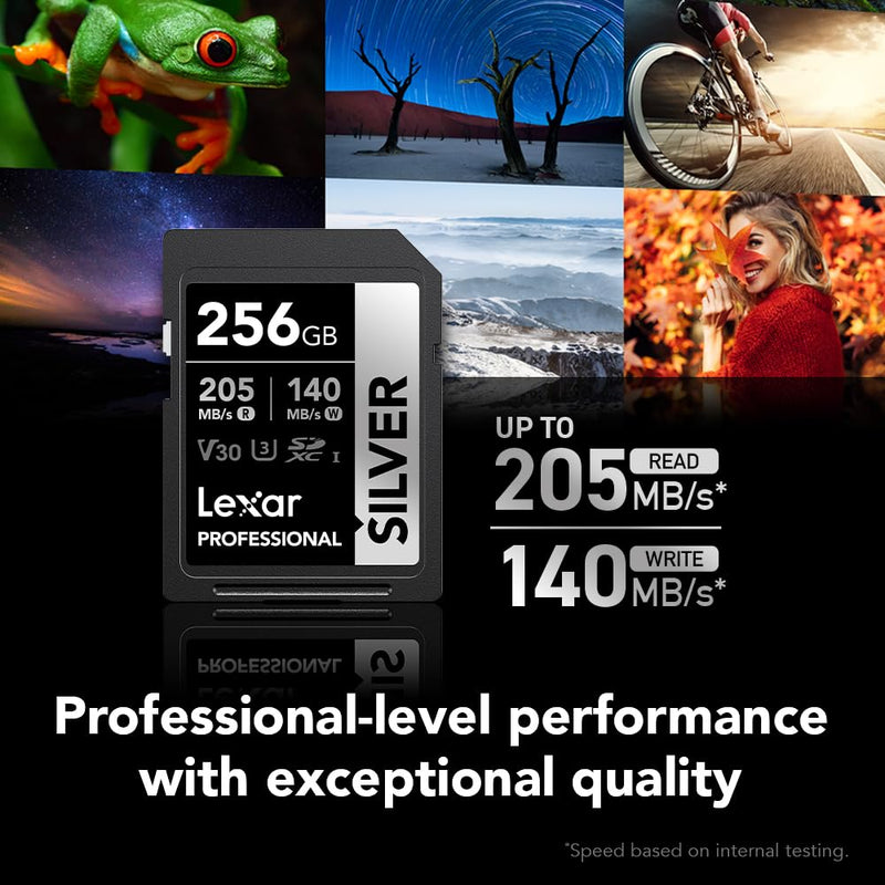 Lexar 256GB Professional Silver SDXC Memory Card, UHS-I, C10, U3, V30, 4K Video, Up to 205/140 MB/s Read/Write, for Professional Photographer, Videographer, Enthusiast (LSDSILV256G-BNNNU)