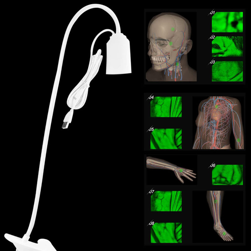[AUSTRALIA] - HURRISE Vein Finder Illuminates Imaging Vein Finder Transilluminator Permanent Vein Finder Display Machine Transilluminator Vein Finder for Hospital 