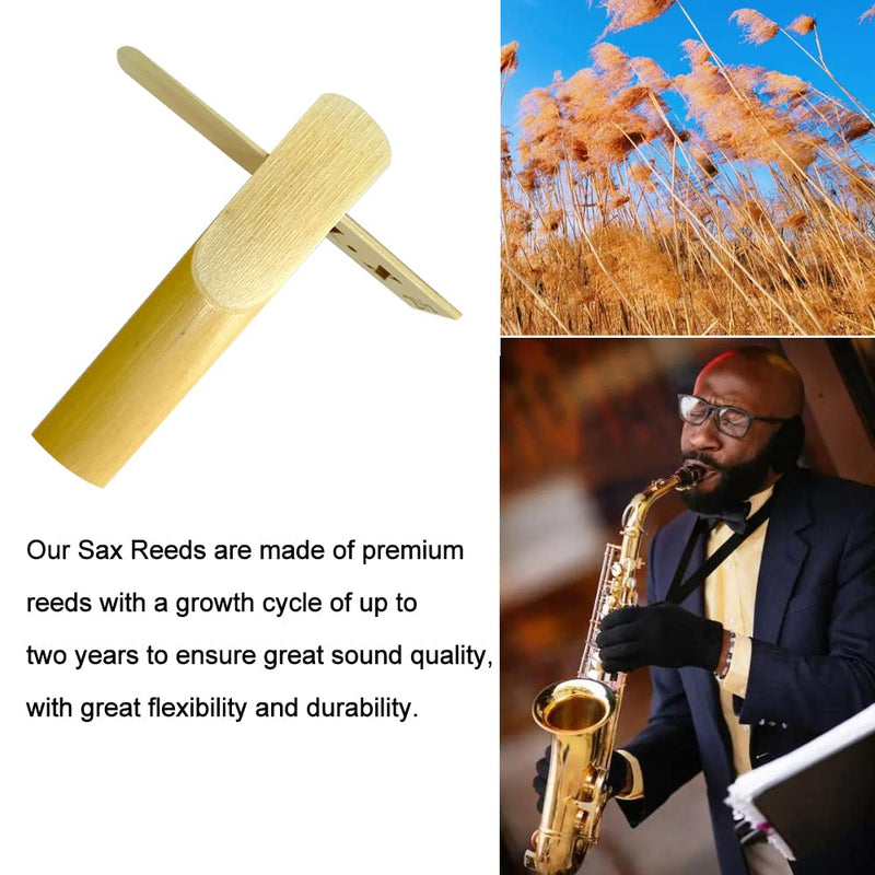 10 Pack Alto Saxophone Reeds 2.0/2.5/3.0, Alto Sax Reeds Strength 3.0 with Storage Box, Traditional Reeds for Alto Saxophone