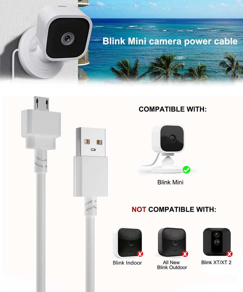 [AUSTRALIA] - Itramax 10 FT Blink Mini Charger Cable with Wall Adapter(1 Pack),Charger Brick and Micro USB End Camera Charging Extension Cord Wire, Waterproof Long Power Supply Cables for Blink Security,10FT 10FT White 1 