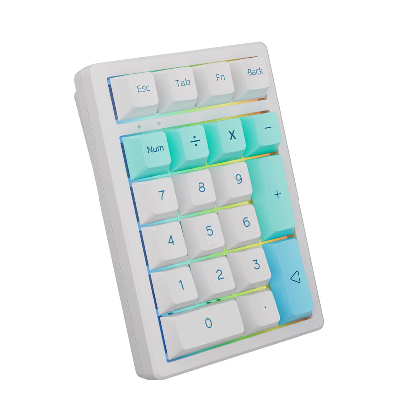 KEYCOOL K21 Mechanical Number Keypad Wireless Numeric Keyboard, Hot-swappable Bluetooth Numpad 5.0/2.4GHz, RGB Numerical Programmable Keyboard for Laptop Mac Win iOS Android Black