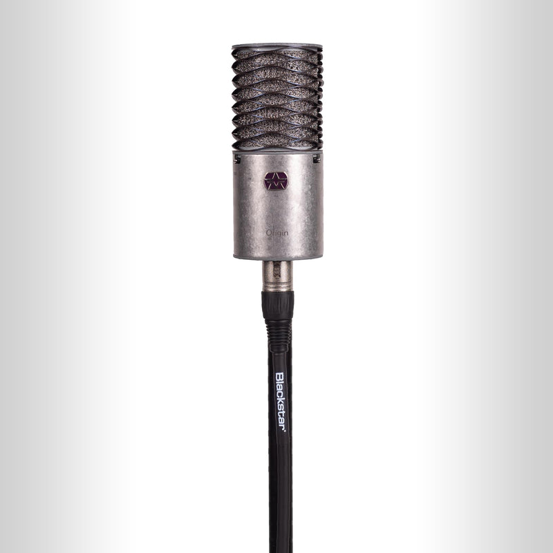 Blackstar Microphone Cable, XLR (BSCABLEXLR10FTFM) 10 ft